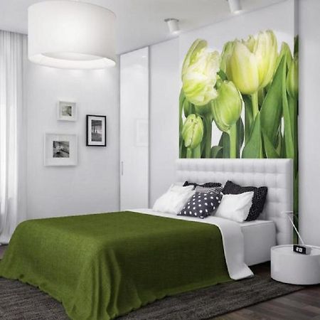明斯克Flatcomfort Nezavisimosti 44公寓 外观 照片